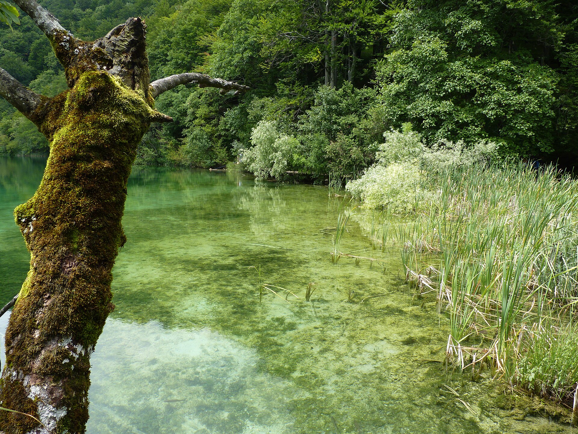 Plitvice Lakes