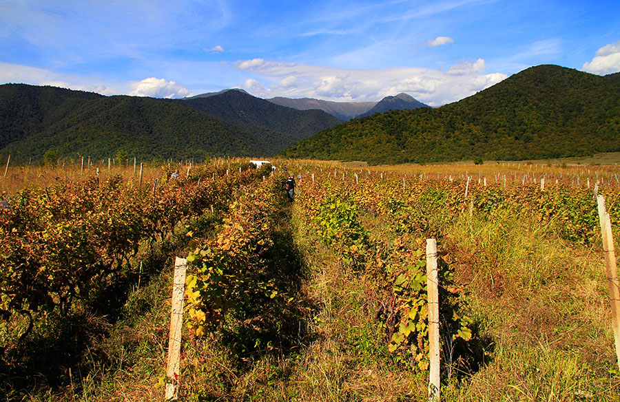 Kakheti, Georgia