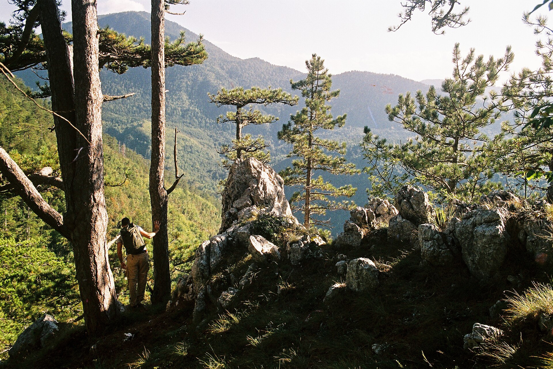 Tara National Park